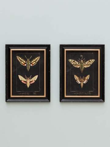 Set 2 tablouri, "Butterfly" - Img 2