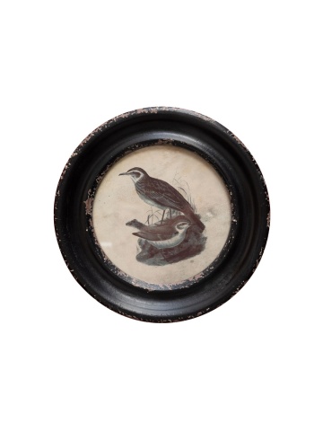 Tablou decorativ, cu rama din lemn de pin, aspect vintage, Turtledoves III