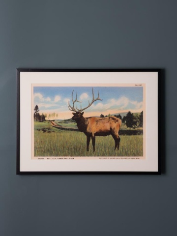 Tablou decorativ, cu rama din rasina, Deer Postcard - Img 2