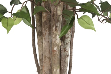 Arbore decorativ tip ficus, stil natural interior, culoare verde, din lemn și material decorativ, „Ficus Green” - Img 4
