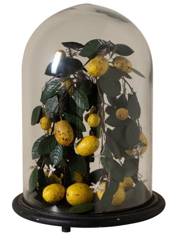 Clopot de sticlă cu lămâi artizanal, „Lemon Precious”