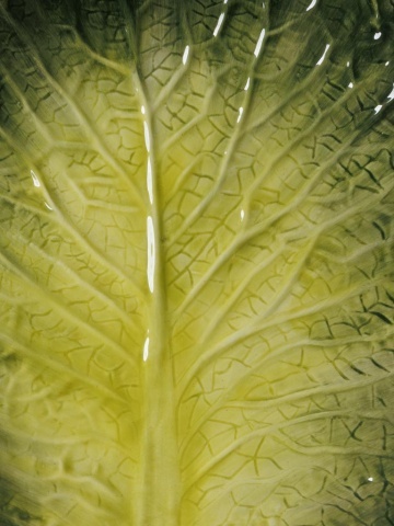 Farfurie din ceramica, D24cm, Lettuce - Img 3