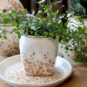 Ghiveci crem, din ceramica, cu motive florale, H13/D12cm, Chaville - Img 2