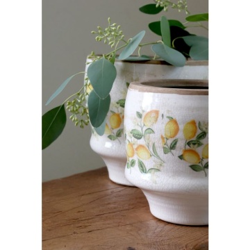 Ghiveci Limone Blossom cu lămâi și flori - Img 4