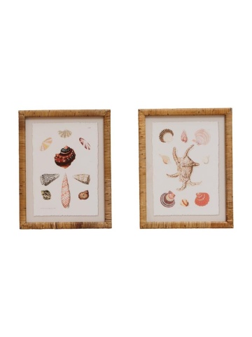 Set 2 tablouri, Shells