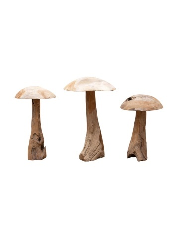 Set 3 ciuperci decorative din lemn de tec, "Sylve"