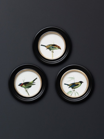 Set 3 tablouri, Colored Birds - Img 2