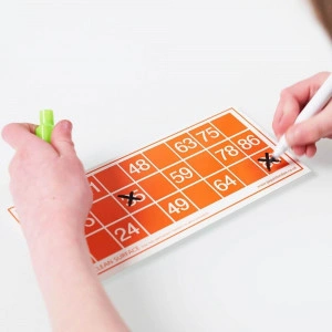 Bingo Set - Complete with Reusable Cards [DEMO] - Img 4