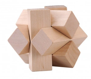 Wooden Puzzle - The Biza wooden puzzle [DEMO]