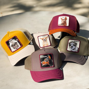 Sapca Goorin Brothers Trucker Nep Life Sleepy Galben 6