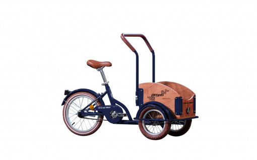 PEGAS MINI CARGO 1S ALBASTRU CALATOR