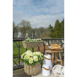 House Nordic, Lampa Bristol LED 17x21cm - Img 3