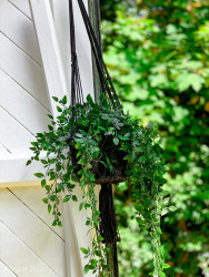 Suportul pentru plante Macrame - Negru - L, Bazar Bizar - Img 2