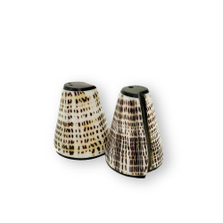 The Salt and Peppa Shell Set - Set of 2