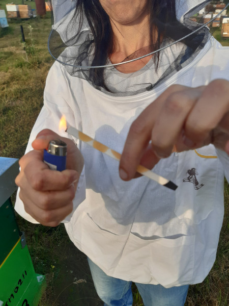 Varachet Forte - Trattamento anti-varroa per 40 alveari - Img 3