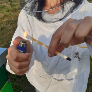 Varachet Forte - Trattamento anti-varroa per 40 alveari - Img 3