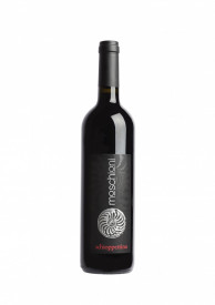 Schioppettino - Moschioni - Schioppettino