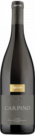 Carpino - Cantina Ricchi - Merlot