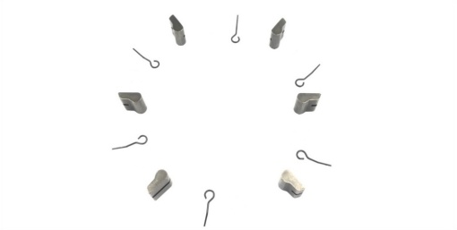 Set FHB PARTS-Spring-6pc + Pawls-6pcs ( B2 6-pawls) NOVATEC