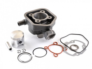 Set motor Peugeot Speedfight/Buxy 5colturi LC-2T 47MM