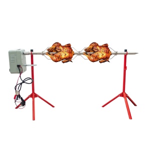 Set protap - 170 cm - cu doua rotatii - 11 RPM si 16 RPM - motor 220V / 12V - Img 2