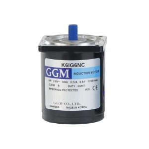 Motor GGM K6IG6NC 6W 1250rpm 60x60mm