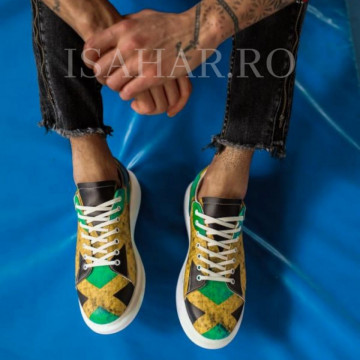 Pantofi sport barbati, cu imprimeu colorat, foarte comozi, ISAHAR - Img 3