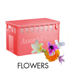 Absorbant de umiditate odorizant Floral