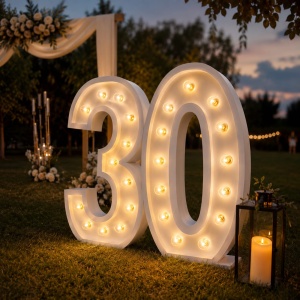 Cifră Luminoasă LED 3 - Img 3