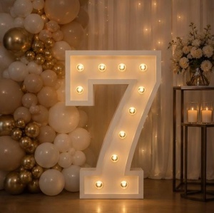 Cifră Luminoasă LED 7 - Img 2