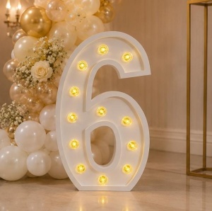 Cifră Luminoasă LED 6