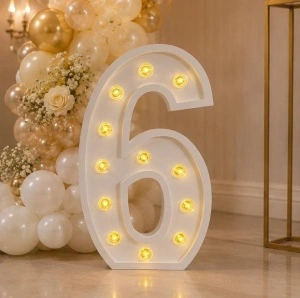 Cifră Luminoasă LED 6