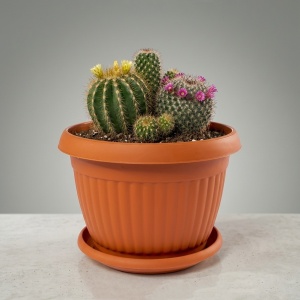Ghiveci BL2 Maro 16cm X 11cm