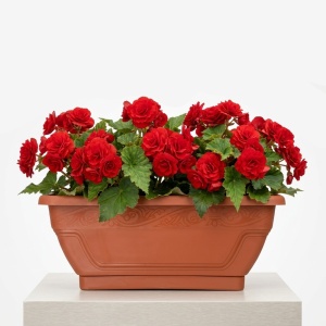 Jardiniere pentru flori 40 cm Maro