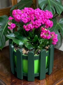 Ghiveci Balustrada 3L Verde , 21cm x17 cm