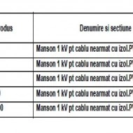 MANSON PENTRU CABLU ARMAT 1kV 4x16-50mmp - Img 2