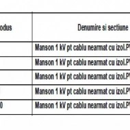 MANSON PENTRU CABLU NEARMAT 1kV 4x16-50mmp - Img 2