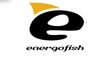 Energo Team