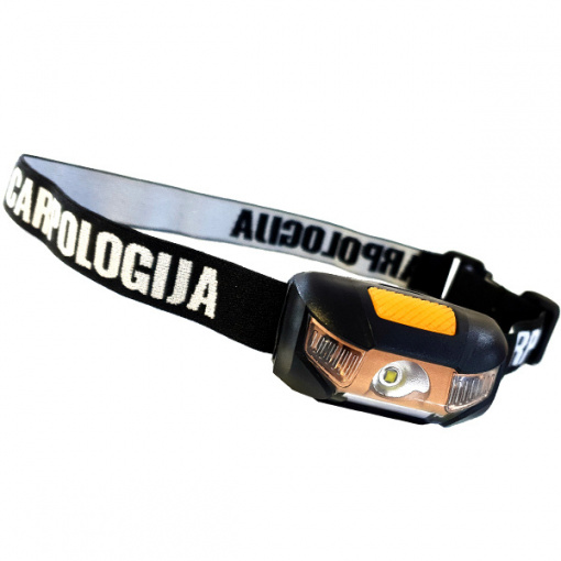 Head Lamp W/Sensor