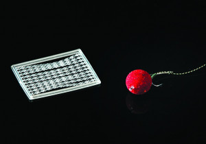Carp stopper soft
