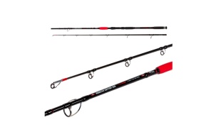 Monster Catfish 2.55m 150-400gr