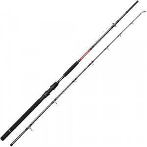 Spro Monster Cat 2.7m 80-300gr