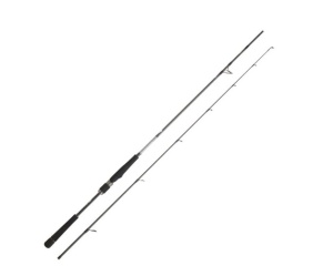 13F Muse S 3.00m 10-30gr