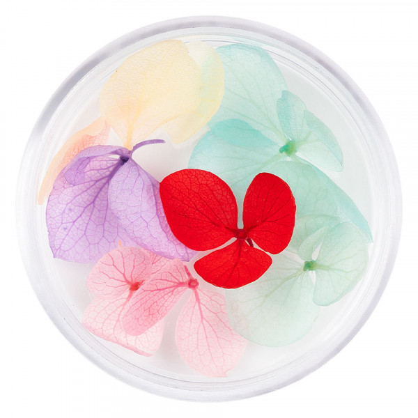 Flori Uscate Unghii LUXORISE Blossom #06