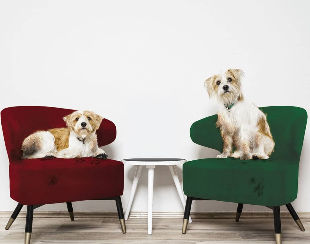 Pet-friendly Fabrics