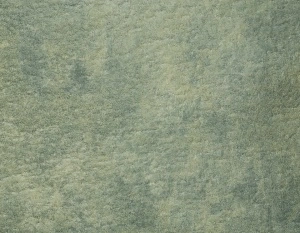 Oregon 8
