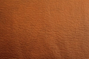 Polo 8