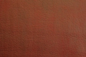 Polo 9