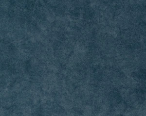 Zoya 7