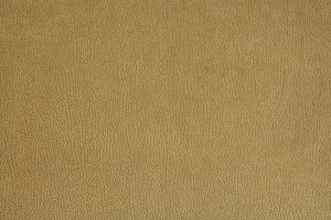 Petra Bronze